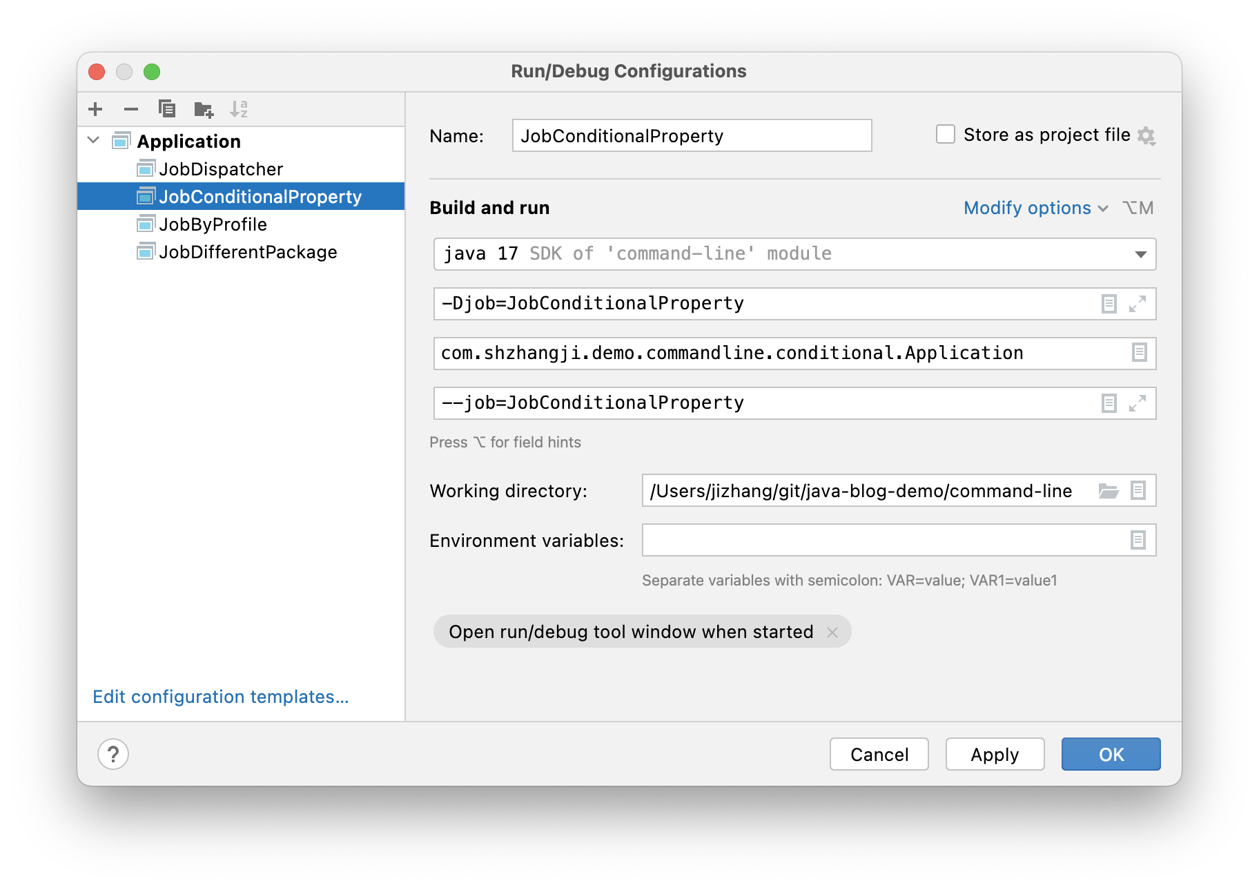 IDEA Config - ConditionalOnProperty