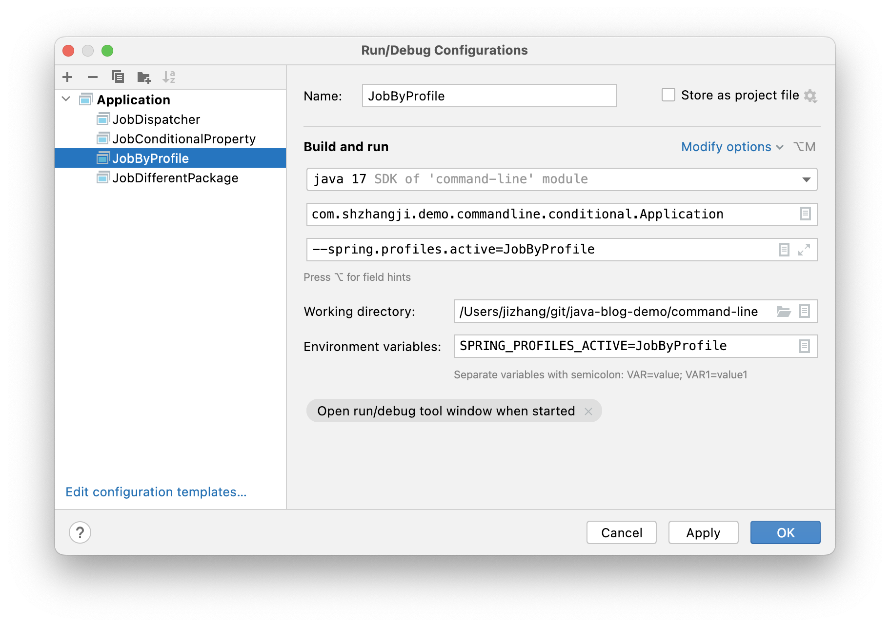 IDEA Config - Profile